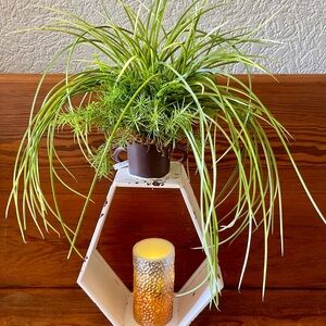 🎉3xHP🎉Distressed white lantern with greenery and battery operated candle🎉HP🎉